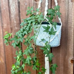 Macrame plant holder